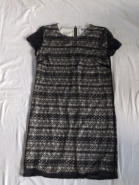 Black Lace Overlay Mini Dress with Neutral Underlayer